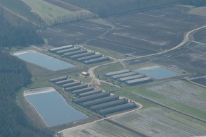 Hog confinement system; by friendsoffamilyfarmers