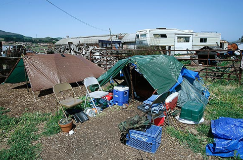 EH ranch conditions