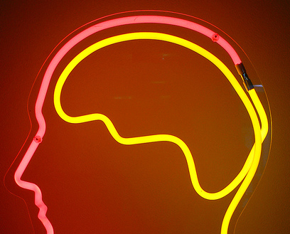 Brain