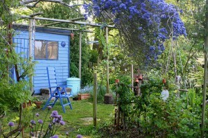 Kitchen garden; by *Susie*