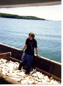 Knee deep in menhaden (Brevoortia tyrannus); by nattarbox