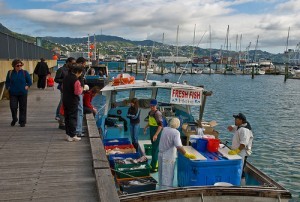Sunday morning fish, Wellington, New Zealand, 9 Nov. 2008; by PhillipC