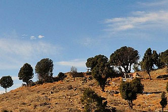 Afghan/Pakistan border