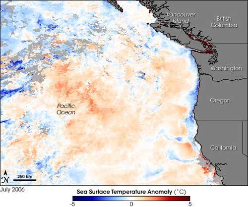 wcoastssta_200607 Temperature map of Pacific coast dead zone, 2006