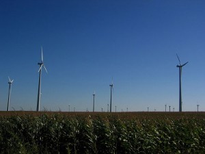 Wind farm; by Brooke