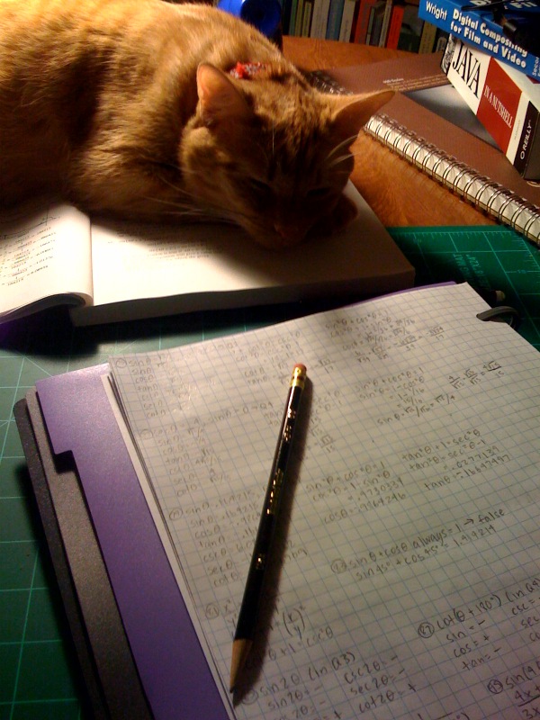 A cat lies on a text book sleeping behind a notebook and pencil.