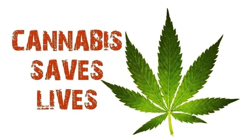 iZBGkQPvqNQskcL-800x450-noPad.jpg?143156